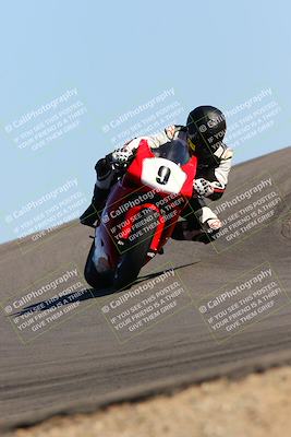 media/Feb-12-2022-SoCal Trackdays (Sat) [[3b21b94a56]]/Turn 12 (140pm)/